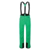 Pantalon De Ski Neuf Dare 2B Achieve II Vived Green 5